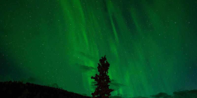 MBR膜生物反应器：市政污水处理厂升级改造的高效解决方案