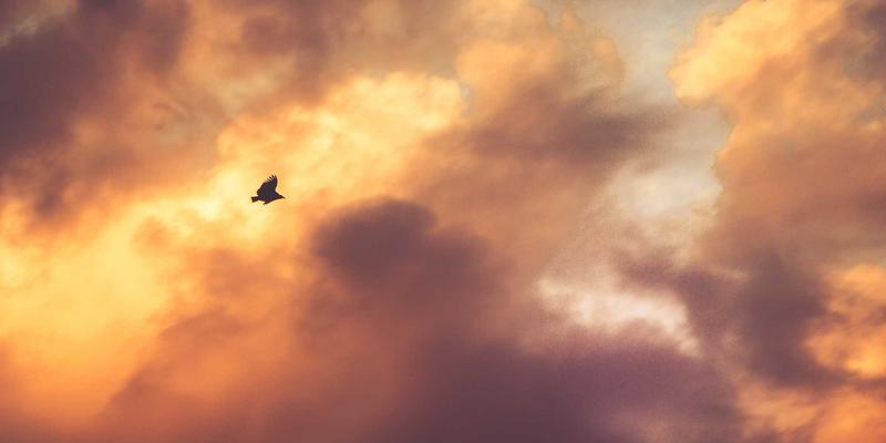 反渗透设备运行维护常见问题解析：提升废水处理效率与水资源管理的关键