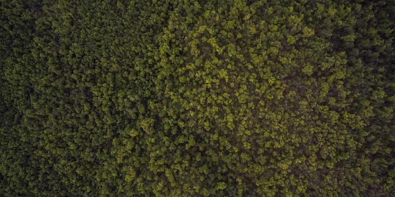 地下水污染修复技术对比：原位化学氧化与微生物修复的可持续解决方案