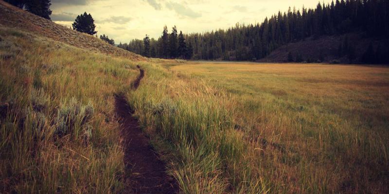 微泉科技：以创新环保技术引领水处理新纪元，构筑可持续发展水生态